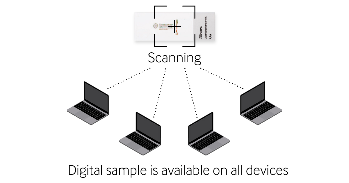 Share digital sample devices