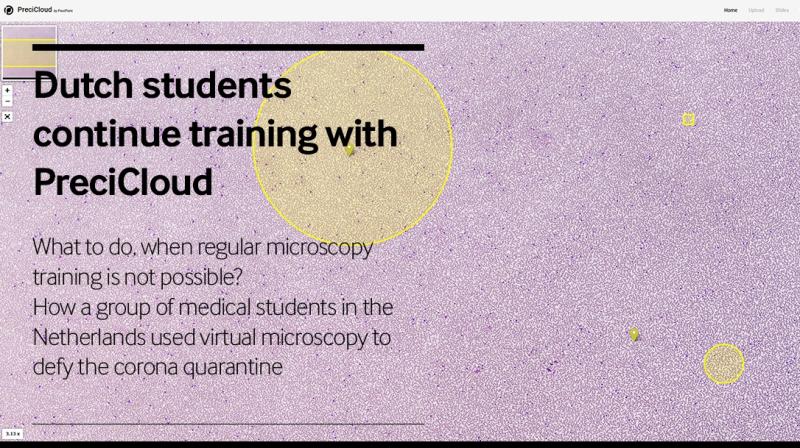Wie eine Gruppe von Medizinstudenten in den Niederlanden mit virtueller Mikroskopie