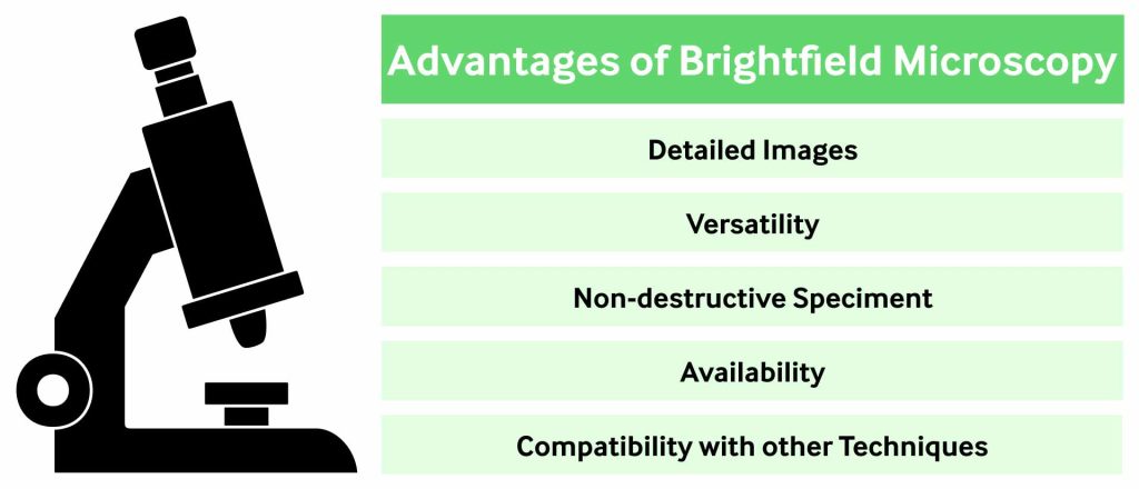 Advantages of Brightfield Microscopy