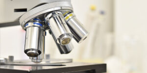 How to Calibrate a Digital Microscope Camera