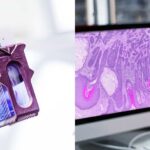 How to Optimize Your Digital Pathology Workflow for Faster Turnaround Times